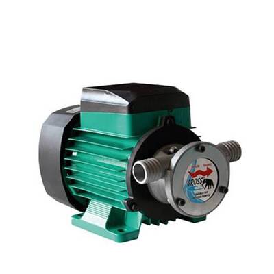 Gross 1 Hp Vakumlu Mazot Aktarma Pompası 220 Volt 